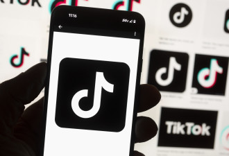 TikTok欧洲数据再惹事 爱尔兰启动新调查