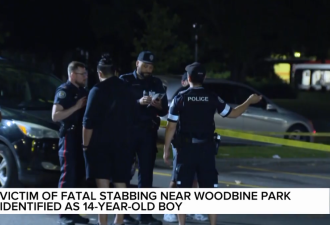 16岁男孩在Woodbine公园附近刺死14岁男孩被控一级谋杀罪