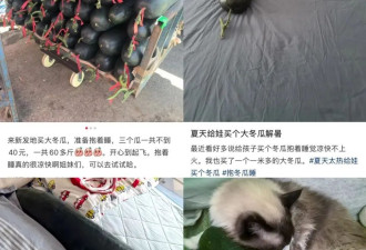 “抱冬瓜睡觉”突然走红 医生：这些人别用