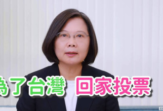蔡英文现身为大罢免催票？中共假冒