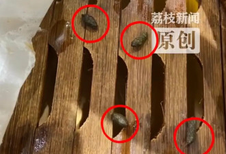 吃到最后发现老鼠屎,知名老字号被曝光,最新回应