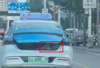 出租车后备箱载儿童行驶 司机带孩子体验生活