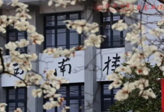 三年就能大学毕业？本科“加速”模式的利与弊