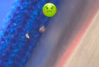 太脏了！TTC地铁座椅惊现床虫，网友直呼恶心