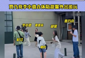 离婚6年后！李小璐二胎疑云+贾乃亮复合传闻？甜馨一句话让网友闭嘴