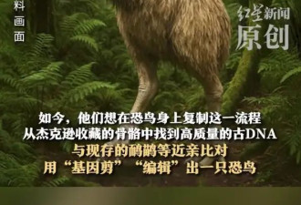 《指环王》导演投资1500万美元复活灭绝600年巨型恐鸟！专家警告：极其危险！