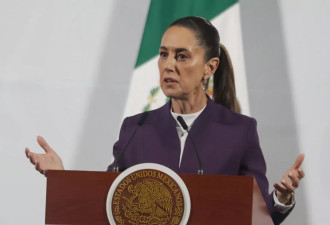墨西哥毒枭在美认罪，墨总统批美国政策不一致