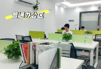 “假装上班公司” 成了失业年轻人的避难所