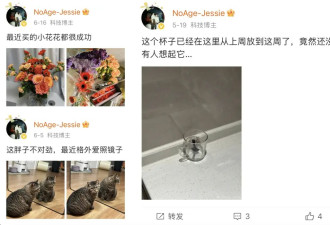 那些被造黄色谣言的女性，决定反击....