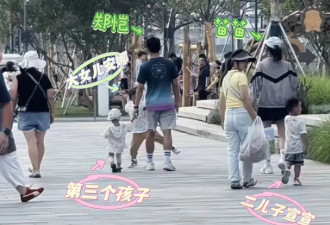 郑恺苗苗带三个孩子外出玩耍被偶遇！夫妻俩被曝生三胎后一直未官宣