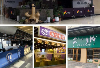 2025中国餐饮业上半年“不死就是成功”!