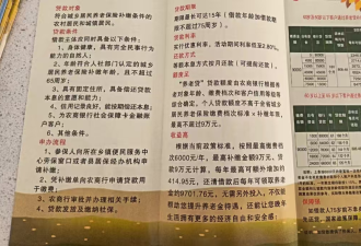 中国“养老贷”：目的是养老，还是还债？
