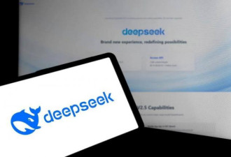 从“奇迹”到“失语”：DeepSeek的崩塌叙事