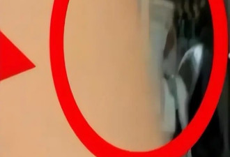 李小璐二胎风波越闹越大！一言不发的她，被13 岁女儿甜馨揭了老底