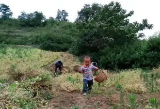 清华博士不顾父母下跪哀求 执意出家为僧 如今…