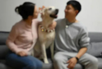 不再租房，中年北漂们，纷纷住进车里 ....