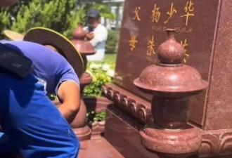 杨少华入葬仪式曝光!四个儿子都到场,杨伦坐轮椅出席