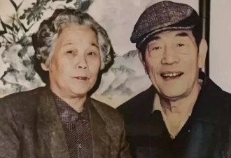 杨少华入葬仪式曝光!四个儿子都到场,杨伦坐轮椅出席