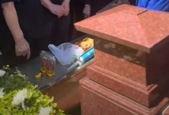 杨少华入葬仪式曝光!四个儿子都到场,杨伦坐轮椅出席