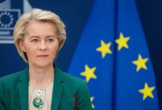 不放弃谈判？欧盟延后对美国的报复性贸易关税