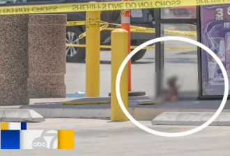美街头惊见“人皮泰迪熊娃娃”！骇人照曝光 警出动结局逆转