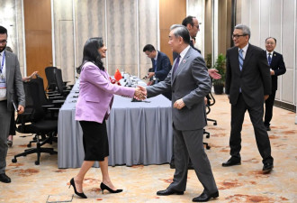 王毅会见加拿大外长阿南德