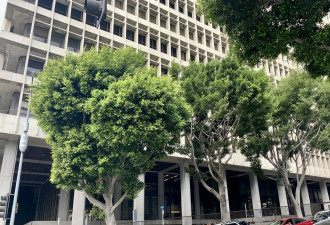 分尸案死者华人朋友悲愤 三名遗孤去向曝光