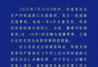 官方通报8岁女孩斑马线被撞身亡:不存在二次碾压