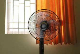 欧洲10天热死2000人,这3个指标比高温更致命