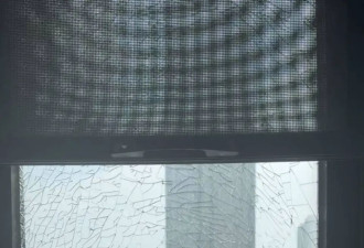 河南连发82条高温红色预警 大鹅热死在水塘