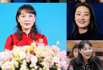 宗家的三个私生子，没法做亲子鉴定！宗馥莉赢定了