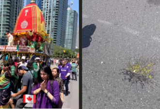 多伦多大批印度人游行庆祝宗教节日, 惨遭鸡蛋袭击: 一个接一个!