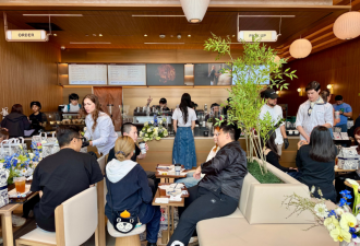 中餐出海 北美“碰壁” 美国梦 很美 很心碎