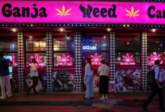 千亿产业崩塌夜：泰国医生处方杀死大麻经济？