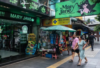 千亿产业崩塌夜：泰国医生处方杀死大麻经济？