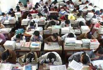 读完985大学，我们成了“高学历废物”