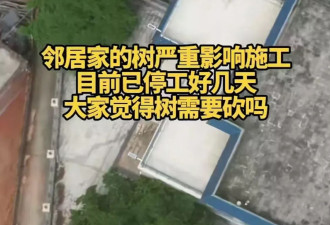 网友称全红婵新家施工因邻居家大树受阻 施工方否认