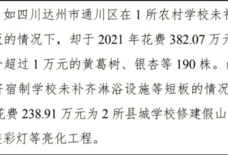 中国一年一度的审计报告看了让人感到震撼