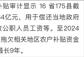 中国一年一度的审计报告看了让人感到震撼