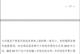 中国一年一度的审计报告看了让人感到震撼