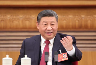 “习近平不会在川普任内动手”