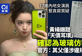 黄杨钿甜"天价耳环"确认为玻璃制仿品 官方：其父仅涉违规经商