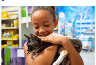 “爱猫之都”！PetSmart公布加拿大十大最宠猫的城市！