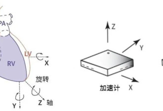 手机放胸口2分钟 就能发现致命心脏病？