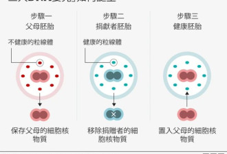 “只有英国做得到”！结合三人DNA诞生婴儿