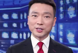康辉丁克被骂自私？生孩子这事，真不是一道必选题！
