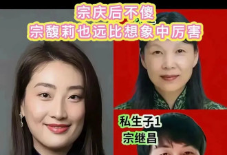 冰箱上安摄像头：宗馥莉有被害妄想吗？