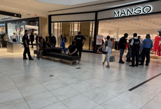 万锦Markville商场一群男女被铐走！网友炸锅：犯罪比找工作容易