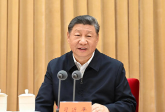 罕见！习近平批评地方“扎堆”AI与新能源