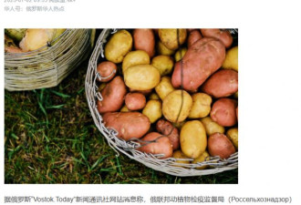 暴增40倍 俄国为何突然大量进口中国土豆?